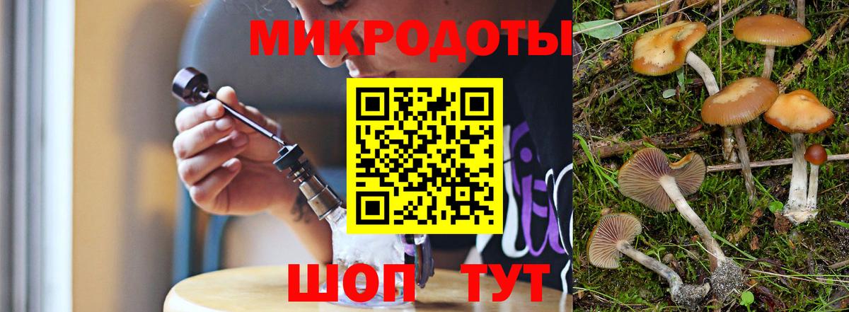 Псилоцибиновые грибы Psilocybine cubensis  Вход с VPN  Асбест 